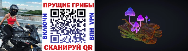 Псилоцибиновые грибы Cubensis  это телеграм  Староминская 
